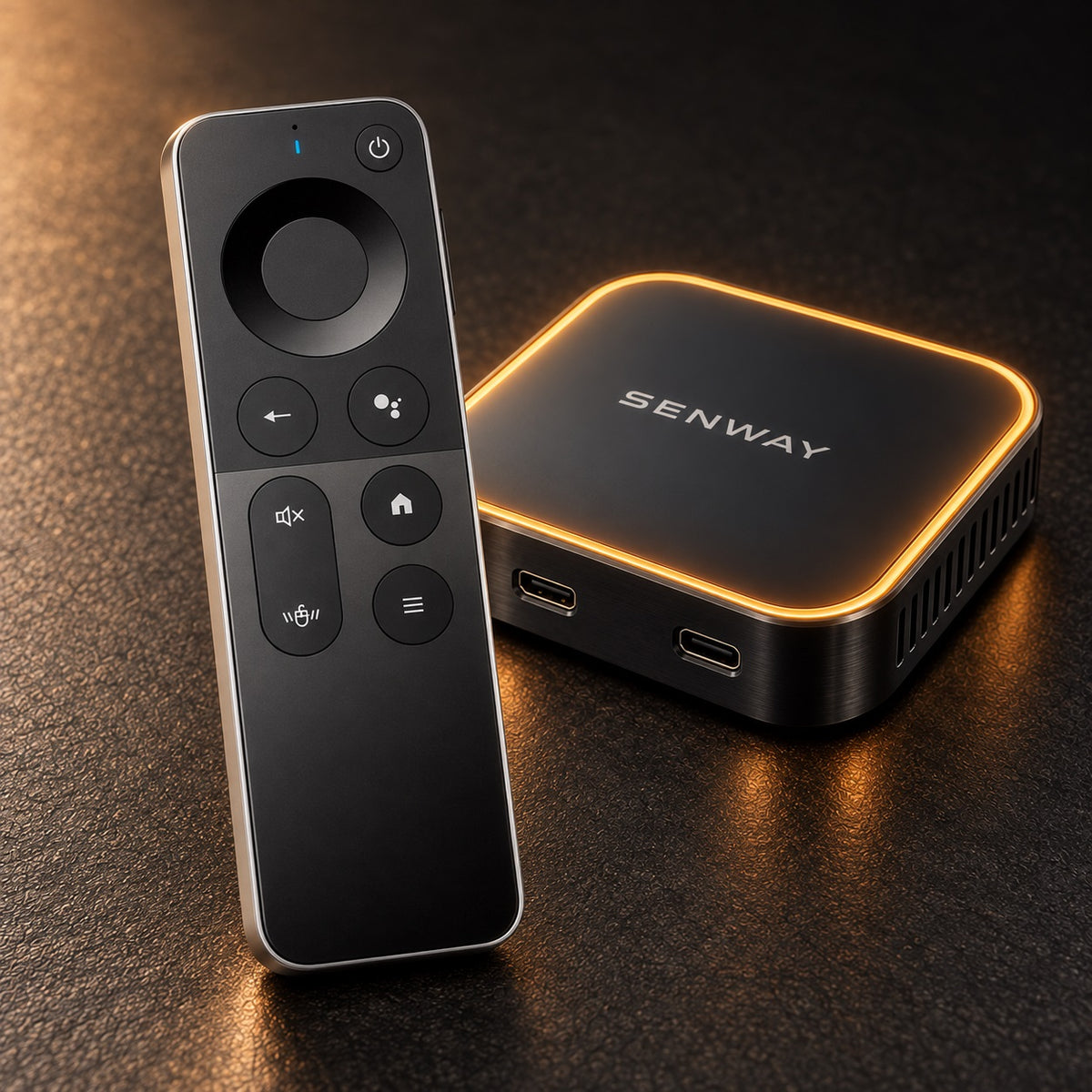 Senway remote included with Senway 1